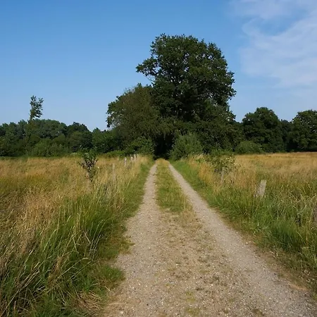 Am Markt Seedorf (Segeberg)